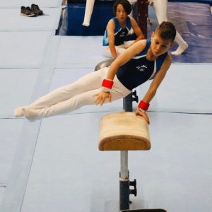 Andy’s Exhilarating Day at the Sydney Gymnastics Grand Prix